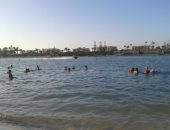 "علوم البحار": قناديل البحر على الشواطئ لها فوائد كثيرة أبرزها تأخير الشيخوخة