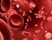 ما هى وظيفة الصفائح الدموية فى جسم الإنسان