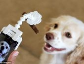 جهاز جديد يتصل بكاميرا هاتفك الذكى لالتقاط صور احترافية لحيوانك الأليف