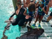 بالفيديو والصور.. ماريا كارى وتوأمها يسبحان مع "أسماك القرش" 