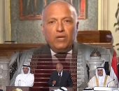 بالفيديو.. سامح شكرى لـCNN: قطر لم تعرف انتخاب المسئولين حتى تتحدث عن الديمقراطية فى الدول العربية.. وعلى الدوحة إثبات تخليها عن دعم وتمويل الإرهاب.. ويؤكد: الرباعى العربى سيتخذ إجراءات جادة ضد الإمارة الخليجية