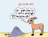 "قنديل البحر .. ضحكوا عليه وجابوه مصر".. بكاريكاتير "اليوم السابع"