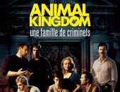 الحلقة السادسة بمسلسل Animal Kingdom.. فين كول فى تحدٍ جديد مع ملوك الجريمة