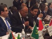 شكرى أمام منظمة التعاون الإسلامى: قطر تمول تنظيمات إرهابية أضرت بمجتمعاتنا