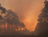 إجلاء وفرار عشرات الآلاف فى غرب أمريكا وكندا بسبب حرائق الغابات