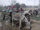 بالصور ..سكان قرية الشيخ على فى قنا يعانون من تلوث مياه الشرب