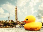 ماونتن فيو" تشعل مواقع التواصل الاجتماعي بحملة  #stalktheduck