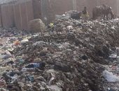 بالصور.. انتشار القمامة بقرية البرادعة مركز القناطر الخيرية