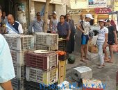 محافظة الإسكندرية: ضبط 6 محال تدار بدون ترخيص بالجمرك