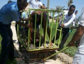 الداخلية: ضبط متهم طعن 6 سائحات أجنبيات بسكين على شاطىء فندق بالغردقة