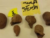 الجامعة الأمريكية بالقاهرة تُسلم 5 آلاف قطعة أثرية للحكومة المصرية