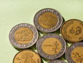 تفاصيل موافقة الحكومة على إصدار عملة معدنية فئة "2 جنيه" لطرحها للتداول.. فيديو