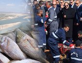 العد التنازلى للاكتفاء الذاتى من الأسماك.. "بركة غليون" أكبر مشروعات الاستزراع السمكى بالمنطقة.. نقيب الصيادين بكفر الشيخ: المشروع يؤسس لقاعدة صناعية ويحقق الاكتفاء فى عامين.. ومستثمر يؤكد: سيصبح منصة تصديرية