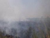 بالصور .. إخماد حريق اندلع بأحد الحقول بقرية الروضة بالمنيا