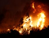 الحرائق تهدد سكان منطقة "جريزلى بارك" فى ولاية كاليفورنيا الأمريكية
