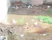 قارئ يشكون من انتشار مياه الصرف الصحى أسفل المنازل بشارع عز الدين عمر بالهرم