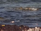بالصور.. انتشار القمامة على "عجيبة" أجمل شواطئ مرسى مطروح الشهيرة