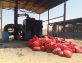 بالفيديو والصور..محرّقة واحدة تعمل من بين 14 بمجمع حرق النفايات الطبية في أسيوط