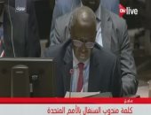 مندوب السنغال بالأمم المتحدة: أشكر الوفد المصرى على صياغته قرار مكافحة الإرهاب