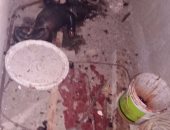 بالصور.. ضبط ربة منزل ألقت طفلا أنجبته سفاحا من الطابق العاشر في الخصوص