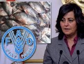 فيديو.. نائب وزير الزراعة: وضع 500 ألف ذريعة من الأسماك فى بحيرة "عرب العليقات"