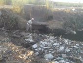 بالفيديو والصور.. أهالى قرى "القوصية" يشكون نقص مياه الرى لزراعة الأراضى