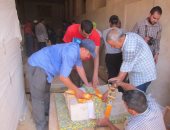 بالصور.. المتحف المصرى الكبير يستقبل 33 قطعة .. تعرف على التفاصيل