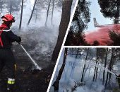 حرائق الغابات تدمر مئات الأفدنة جنوب شرق فرنسا