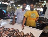 بالصور.. أهالى الإسماعيلية يطالبون بنقل سوق السمك من شارع الجيش لبحيرة الصيادين