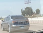 قارئ يرصد سيارة بلوحات مطموسة على طريق إسكندرية الصحراوى