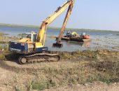 إزالة 150 حالة تعد على بحيرة المنزلة بدمياط