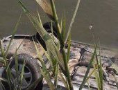 إصابة شخصين في انقلاب سيارة بترعة أمام مزرعة الرفاعى بالدقهلية