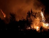 بالصور.. حرائق الغابات بالقرب من أثينا تجبر السكان على الفرار من منازلهم