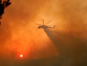 الحرائق تلتهم مئات الأفدنة من الغابات والأدغال بعدد من المدن الجزائرية