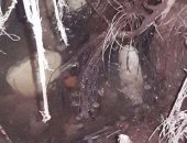 بالصور.. مياه الرى تغرق مقابر قرية بحر البقر فى الشرقية