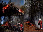 حرائق هائلة فى غابات البرتغال.. والنيران تلتهم مئات الأفدنة