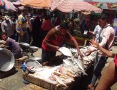 نقيب صيادى السويس: لأول مرة منذ 20 عاما نلتزم بحظر الصيد 4 شهور بشكل كامل