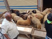  حملة مكبرة لمطاردة الباعة الجائلين بشوارع حى وسط بالاسكندرية