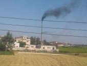 مواطن يشكو من أدخنة محرقة مخلفات طبية بقرية شابة بكفر الشيخ