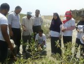 برنامج تدريبى لشباب الجامعات للتوسع فى زراعة أشجار "المانجروف"