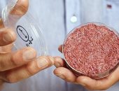 إيطاليا تطلق قرارا نهائيا بحظر اللحوم المصنعة مختبريا