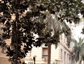 لجنة تطوير وحماية القاهرة التراثية: مثلث البورصة..منطقة مفتوحة للفن خلال 4 أشهر