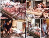 أسعار الأسماك اليوم.. البوري يتراوح بين 32 و 51 جنيها للكيلو