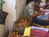 بالصور.. ضبط 75 طن تفاح بلدى غير صالح للاستهلاك الآدمى بالإسكندرية