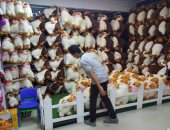 بالصور.. ألعاب خروف العيد الصينى تغزو شوارع ومحلات أسيوط بمناسبة العيد