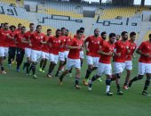 مباراة مصر و أوغندا.. السفيرة المصرية تحذر من أرضية الملعب