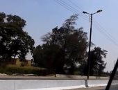 قارئ يرصد أعمدة مضاءة نهارا فى الطريق القاهرة الإسكندرية الزراعى