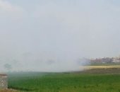 بعد ظهور السحابة السوداء.. أهالى الشرقية يطالبون المحافظ بوقف حرق قش الأرز