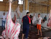 بالصور.. "بيطرى كفر الشيخ:": ذبح 540 رأس ماشية فى 19 مجزرا ونقطة ذبح