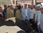 بالصور  .. محافظ الدقهلية يكلف بتوزيع لحوم الأضاحى على فقراء ميت الكرما